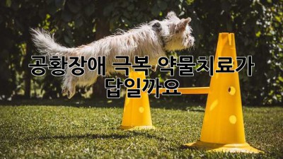 공황장애 극복, 약물치료가 답일까요?