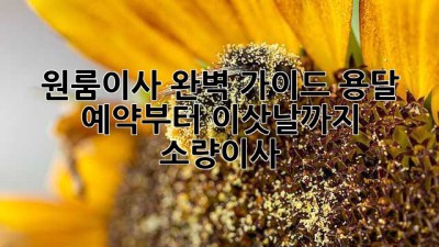 📦 원룸이사 완벽 가이드: 용달 예약부터 이삿날까지! #소량이사